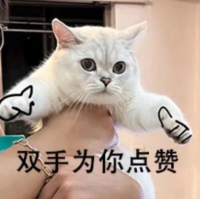 k1体育麻将胡了(中国集团)官方网站