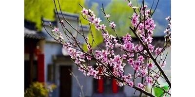 阳春三月，，k1体育麻将胡了精机一大波展会即未来袭，，您准备好了吗？？？？